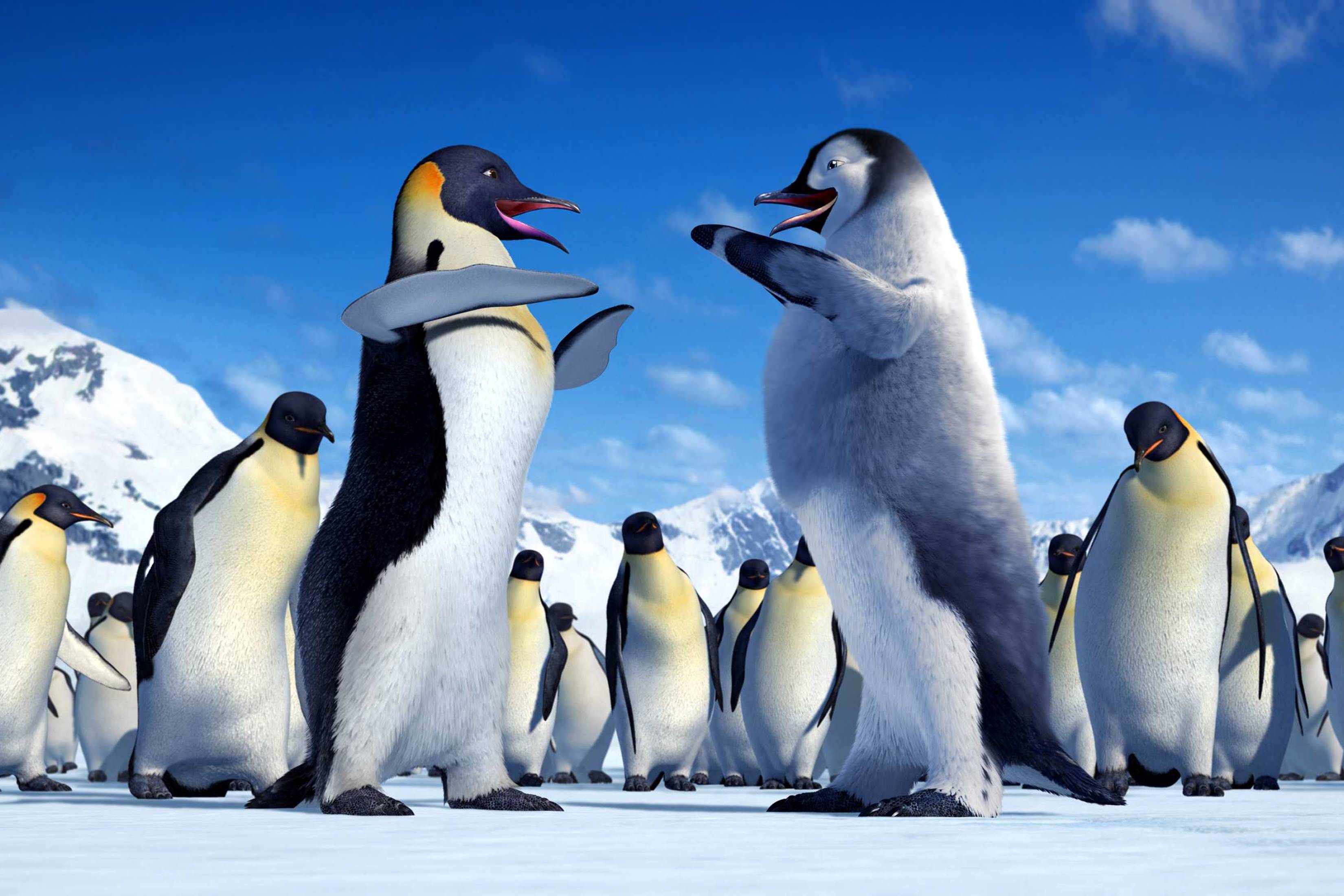 Смотреть Док Фильм Знакомство С Пингвинами Торрент