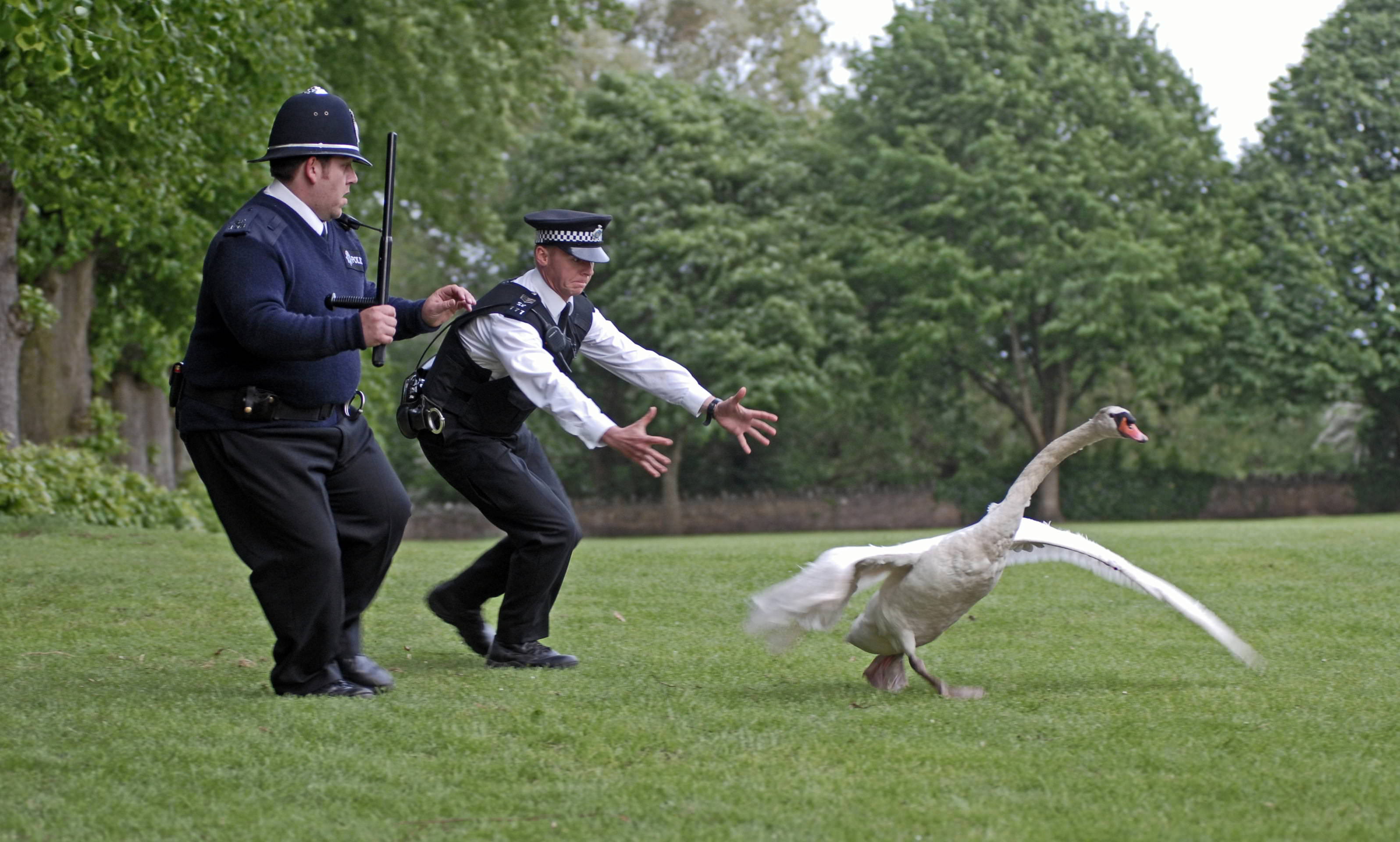 hot-fuzz-edgar-wright-voir-et-manger